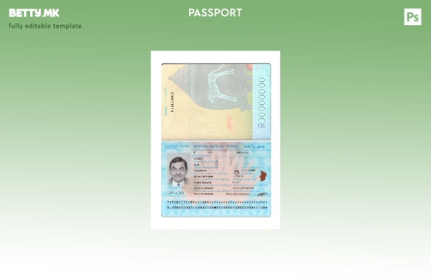 модерен стил Du Tchad пасош нов сегашен шаблон